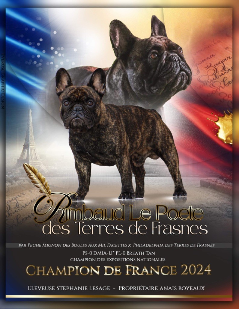 Nouveau champion de France 2024 